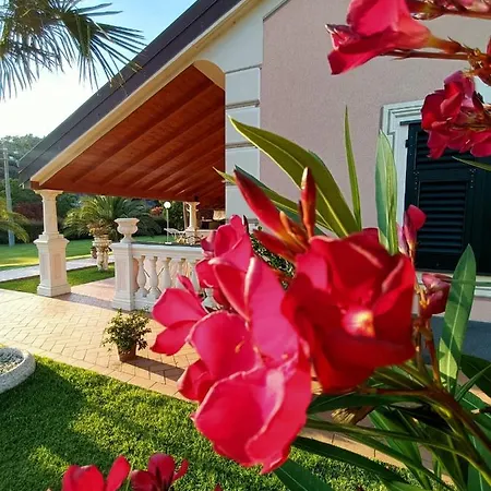 Bed & Breakfast Terra Di Liguria Casarza Ligure