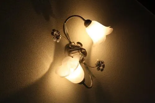 Terra Di Liguria Casarza Ligure