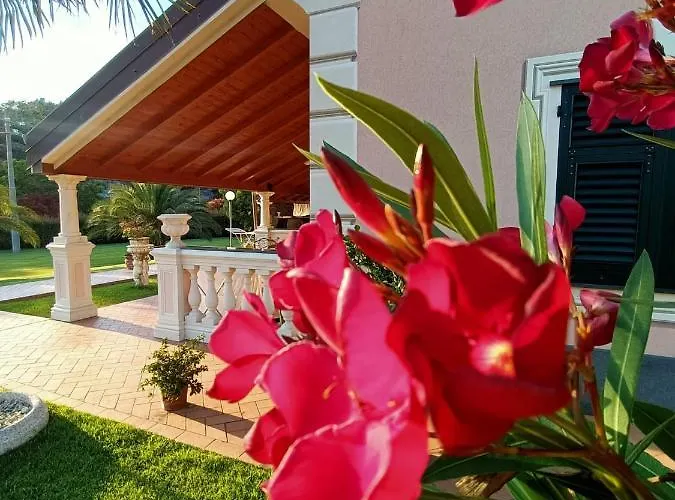 Bed and breakfast Terra Di Liguria Casarza Ligure